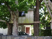 DSC00870